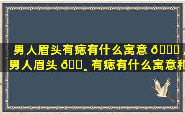 男人眉头有痣有什么寓意 🕊 ,男人眉头 🌸 有痣有什么寓意和象征